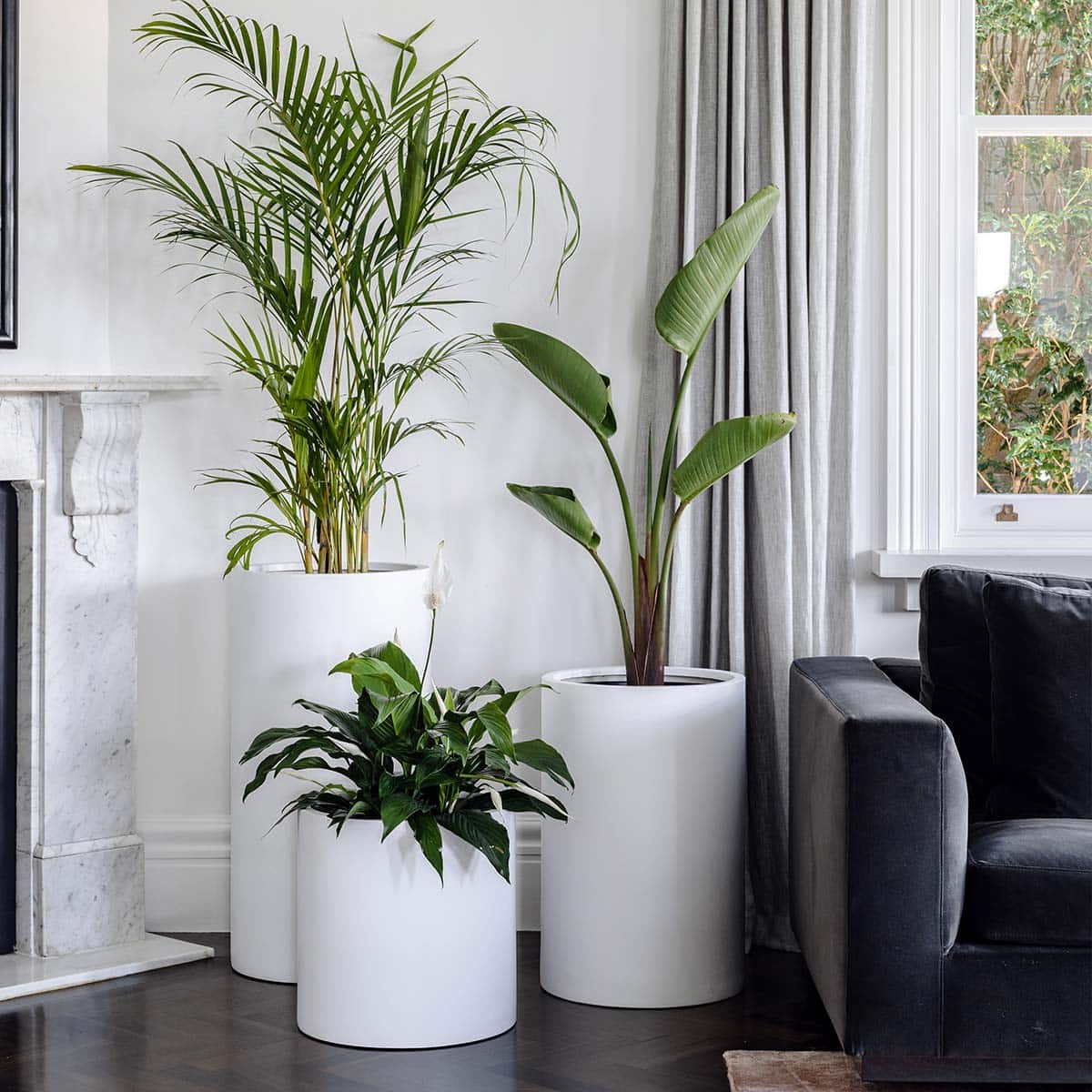 Harmoni Visual untuk Kehidupan Sehari-hari yang Nyaman